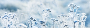 Winterimpressionen 2022
